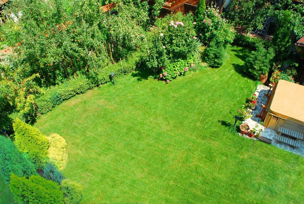 Guest house Chicho Tsane Bansko